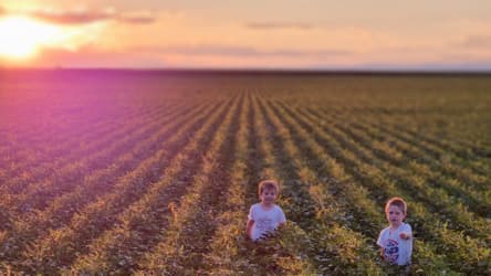 Producción Agrícola