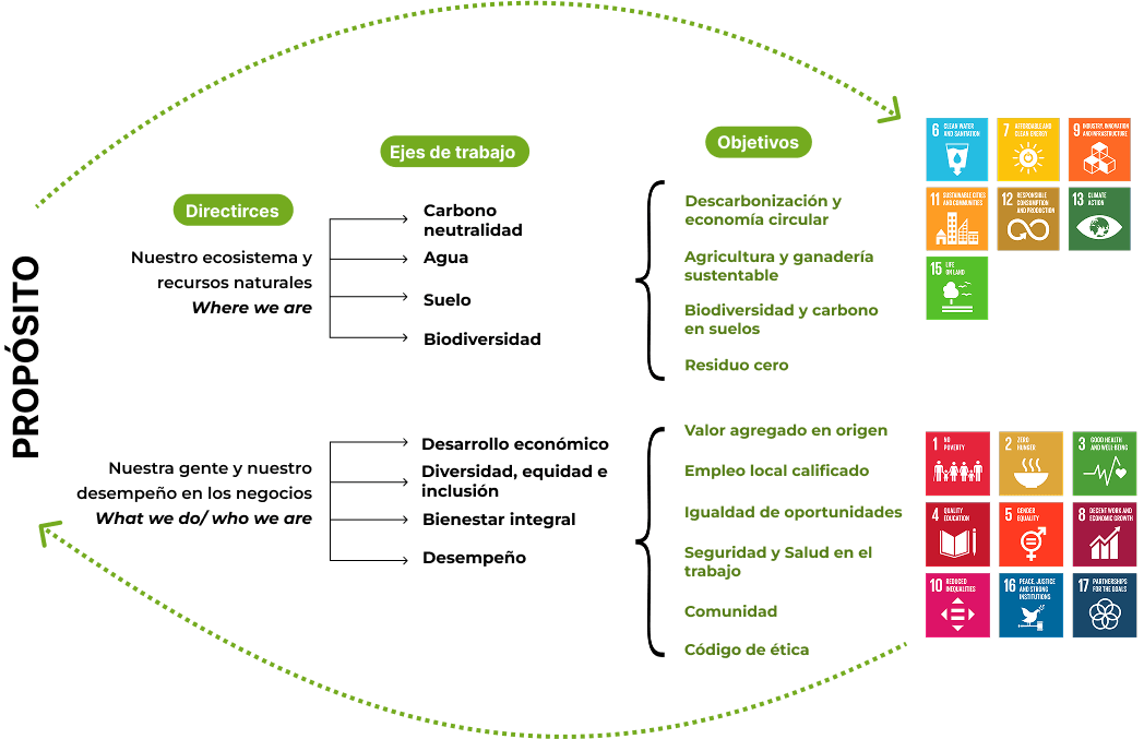 Metas Socioambientales